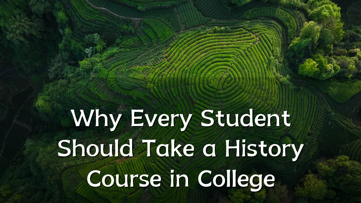 Why Every Student Should Take a History Course in College