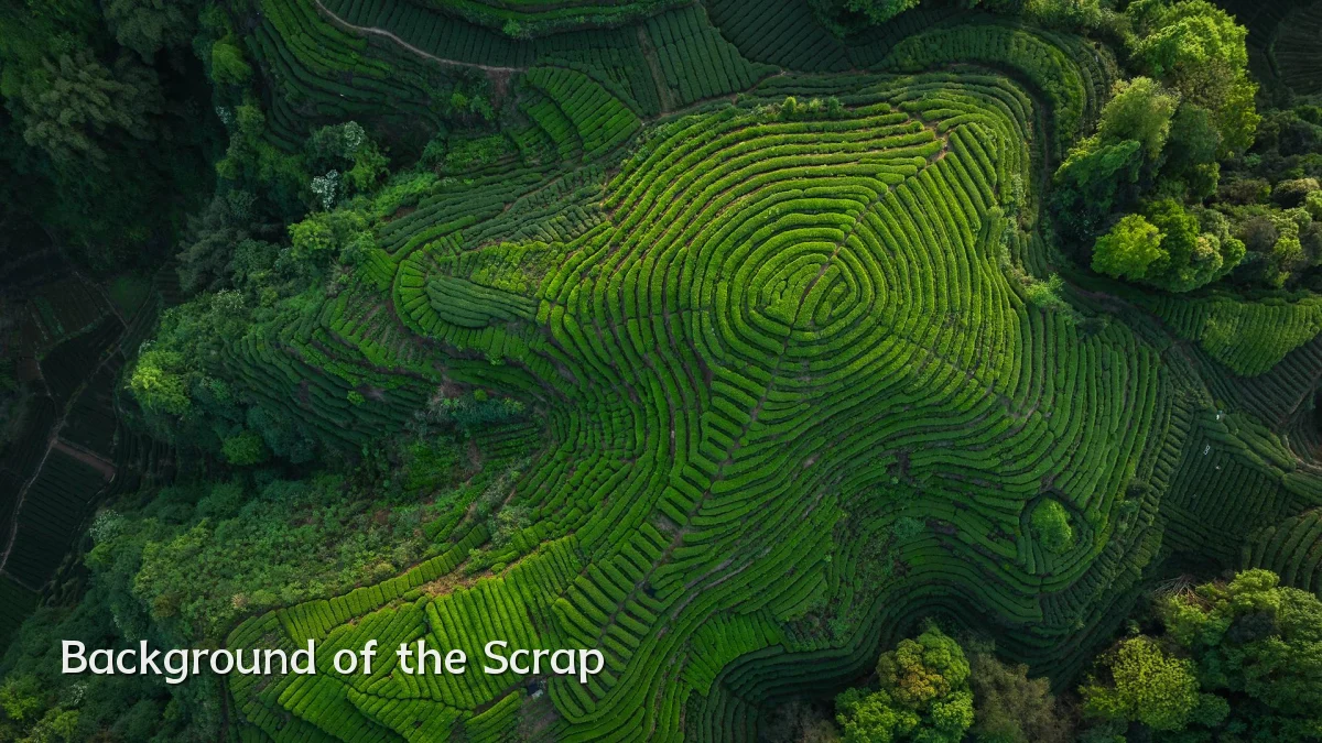 Background of the Scrap