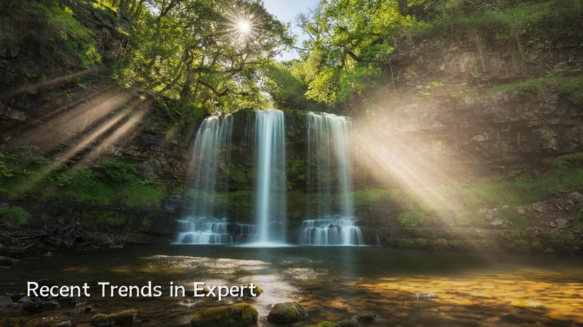 Recent Trends in Expert