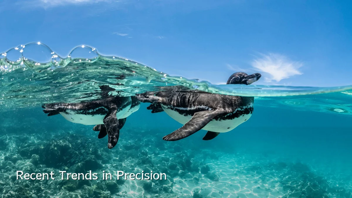 Recent Trends in Precision
