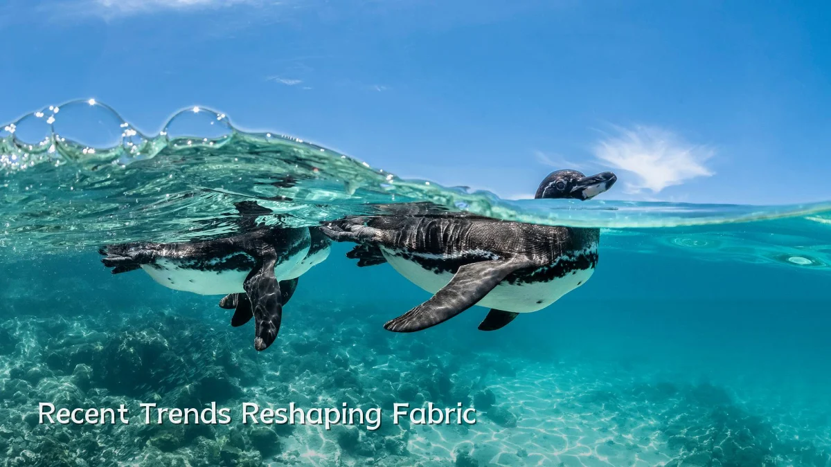 Recent Trends Reshaping Fabric